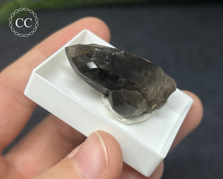 Smoky Quartz Specimen - Sardinia #1