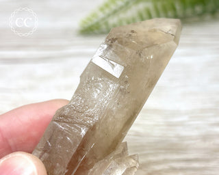 Smoky Quartz #1