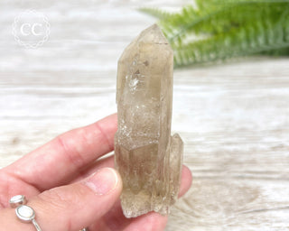 Smoky Quartz #1