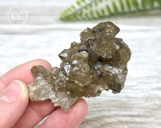 Smoky Quartz and Black Tourmaline - Erongo #1