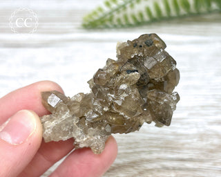 Smoky Quartz and Black Tourmaline - Erongo #1