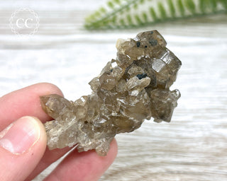 Smoky Quartz and Black Tourmaline - Erongo #1