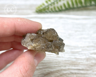 Smoky Quartz and Black Tourmaline - Erongo #1