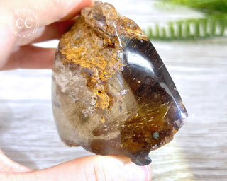 Smoky Rutilated Quartz Freeform #2