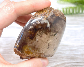 Smoky Rutilated Quartz Freeform #2