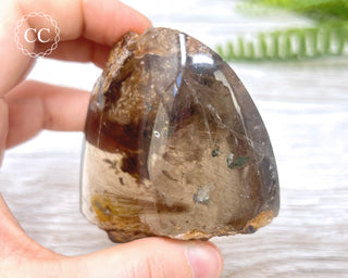 Smoky Rutilated Quartz Freeform #2