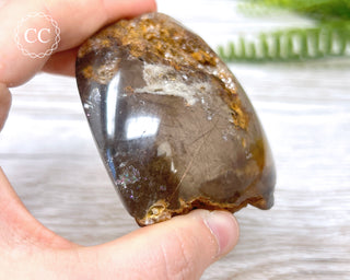Smoky Rutilated Quartz Freeform #2