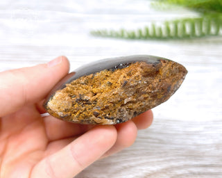 Smoky Rutilated Quartz Freeform #2