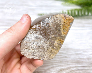 Smoky Rutilated Quartz Freeform #1