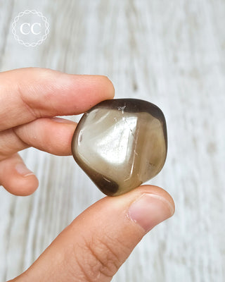 Zambia Smoky Quartz Polished #25