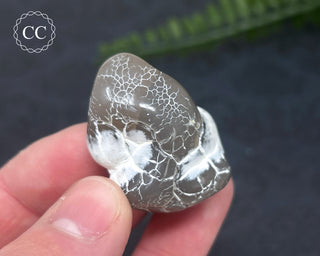 Snakeskin Agate #2