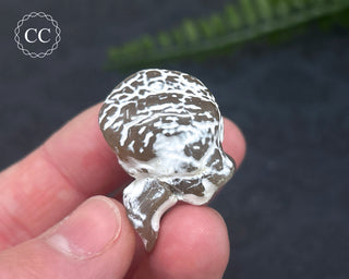 Snakeskin Agate #3