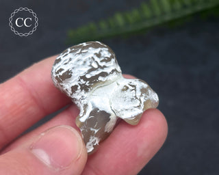 Snakeskin Agate #3
