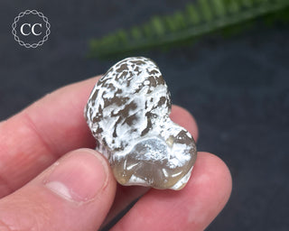 Snakeskin Agate #3