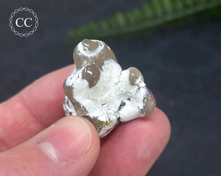 Snakeskin Agate #3
