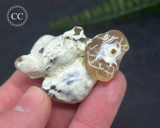 Snakeskin Agate #4