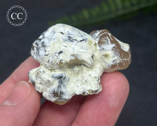 Snakeskin Agate #4