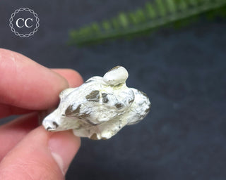 Snakeskin Agate #4