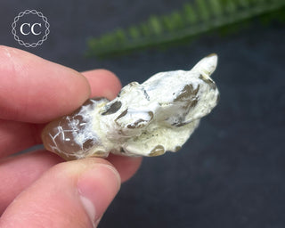 Snakeskin Agate #4