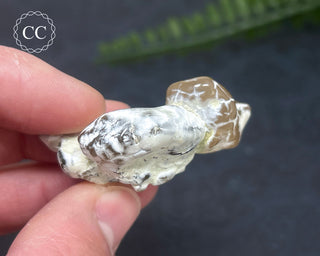 Snakeskin Agate #4