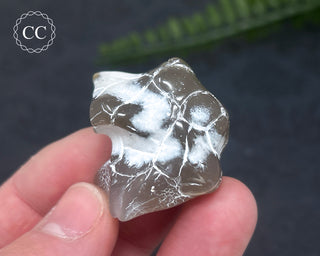 Snakeskin Agate #5