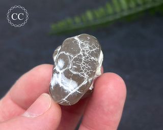 Snakeskin Agate #5