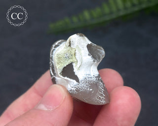 Snakeskin Agate #5