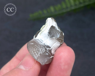 Snakeskin Agate #5