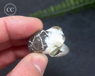 Snakeskin Agate #5