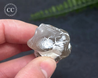 Snakeskin Agate #5