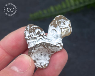 Snakeskin Agate #7