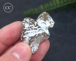 Snakeskin Agate #7