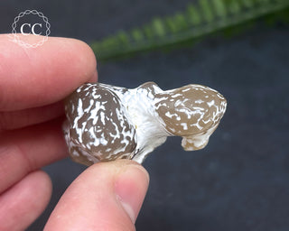 Snakeskin Agate #7