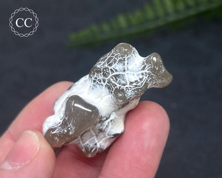 Snakeskin Agate #9