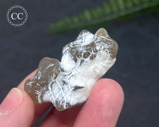 Snakeskin Agate #9
