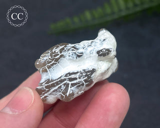 Snakeskin Agate #9