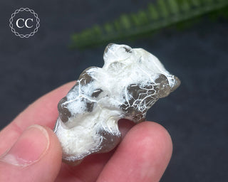 Snakeskin Agate #9