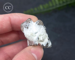 Snakeskin Agate #9