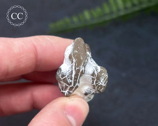 Snakeskin Agate #9