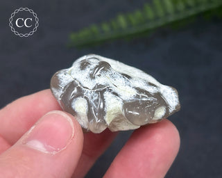 Snakeskin Agate #10