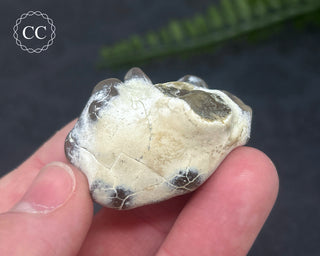 Snakeskin Agate #10
