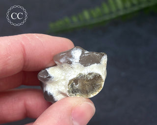 Snakeskin Agate #10