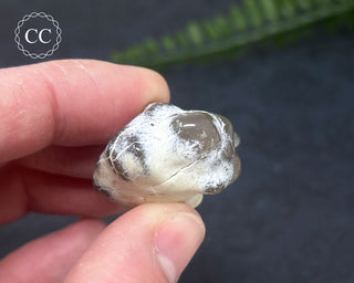 Snakeskin Agate #10