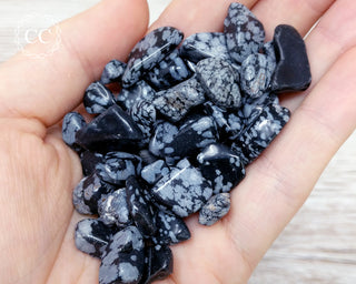 Snowflake Obsidian Crystal Chips in hand