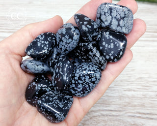 Snowflake Obsidian Tumbled Crystals in hand