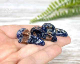 Sodalite Raven Skulls in hand