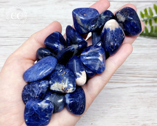 Sodalite Tumbled Crystals in hand