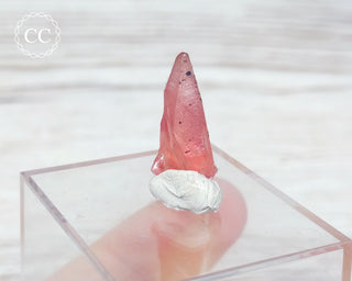 Rhodochrosite Crystal - N'Chwaning, South Africa #3