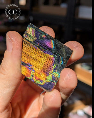 Spectrolite Slice #12