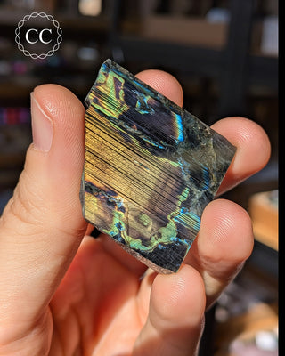 Spectrolite Slice #12
